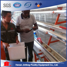 Battery Chicken Equipment Cage for Farm Use on Sell